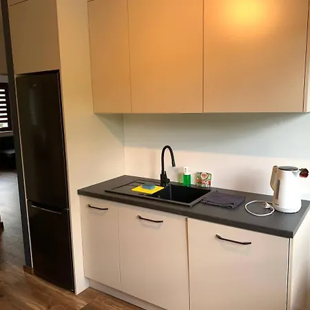 Komfortowy W Spokojnej Dzielnicy Apartman *