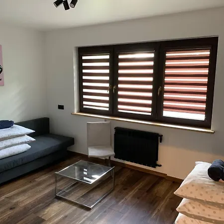 Apartment Komfortowy W Spokojnej Dzielnicy *